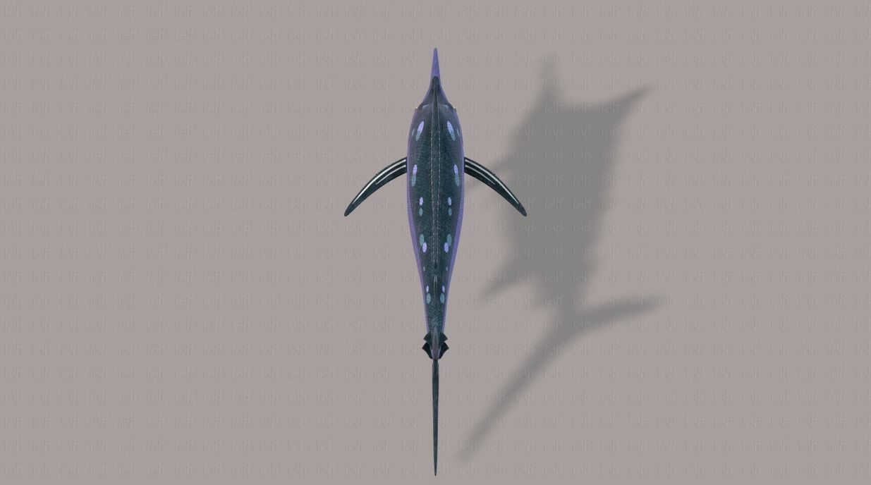 Fish V04 Low-poly 3D model_21