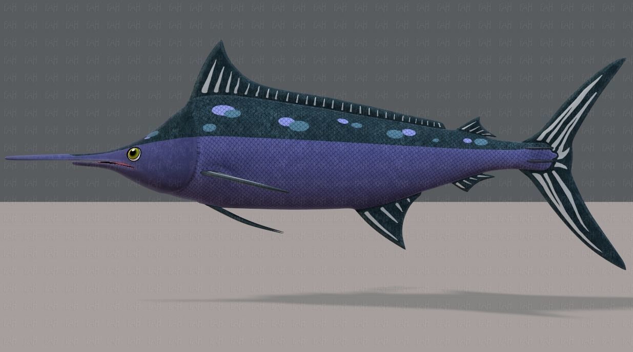Fish V04 Low-poly 3D model_37
