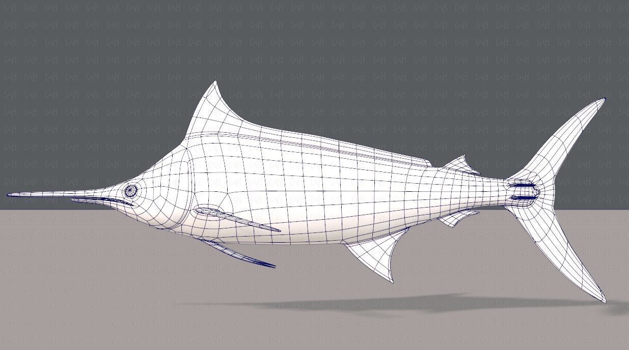 Fish V04 Low-poly 3D model_15