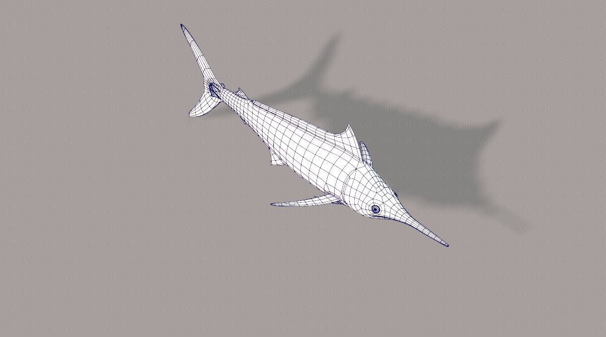 Fish V04 Low-poly 3D model_26