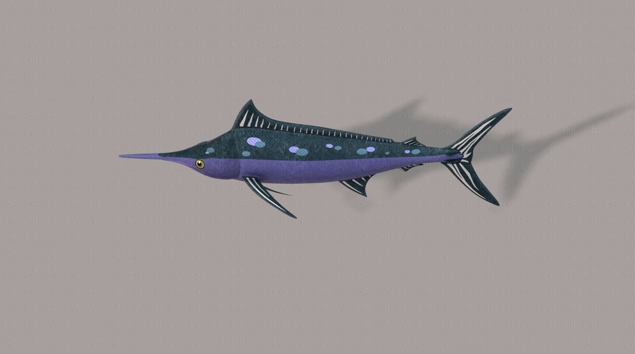 Fish V04 Low-poly 3D model_23