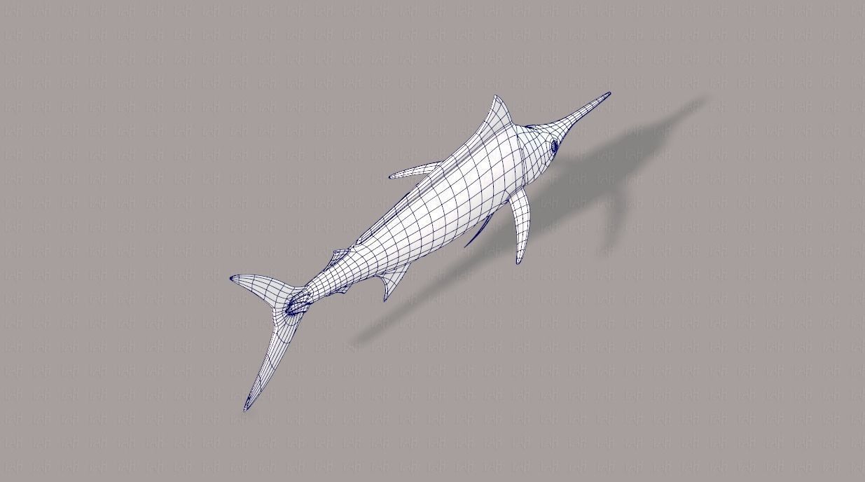 Fish V04 Low-poly 3D model_28