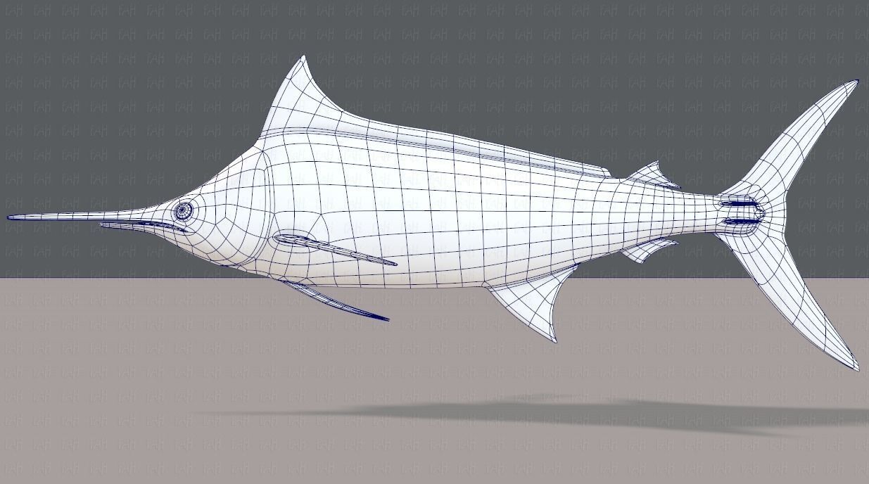 Fish V04 Low-poly 3D model_38