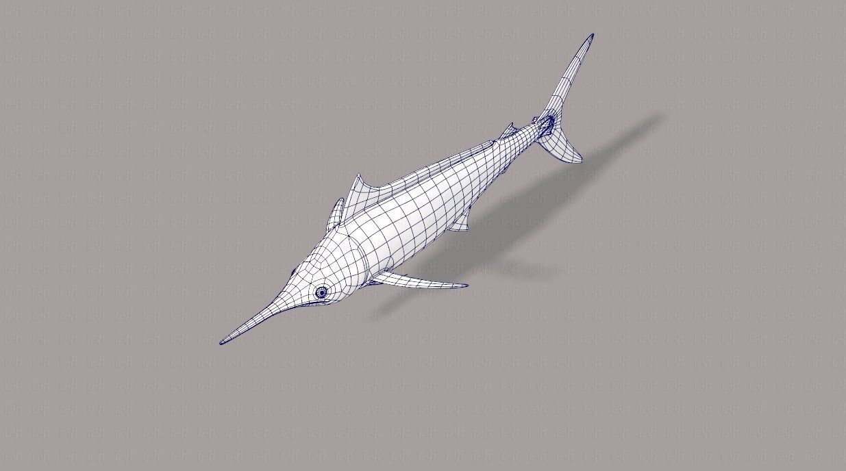Fish V04 Low-poly 3D model_32