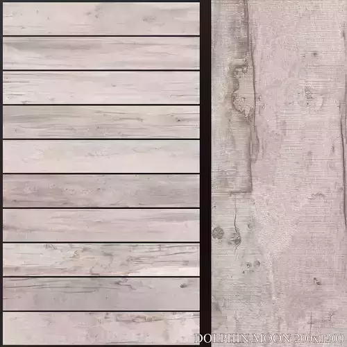 ABK Dolphin Moon 200x1200