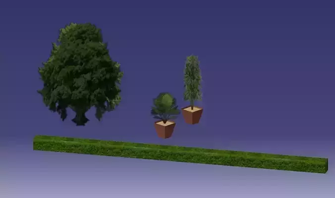 PLANTS palm tree in pot