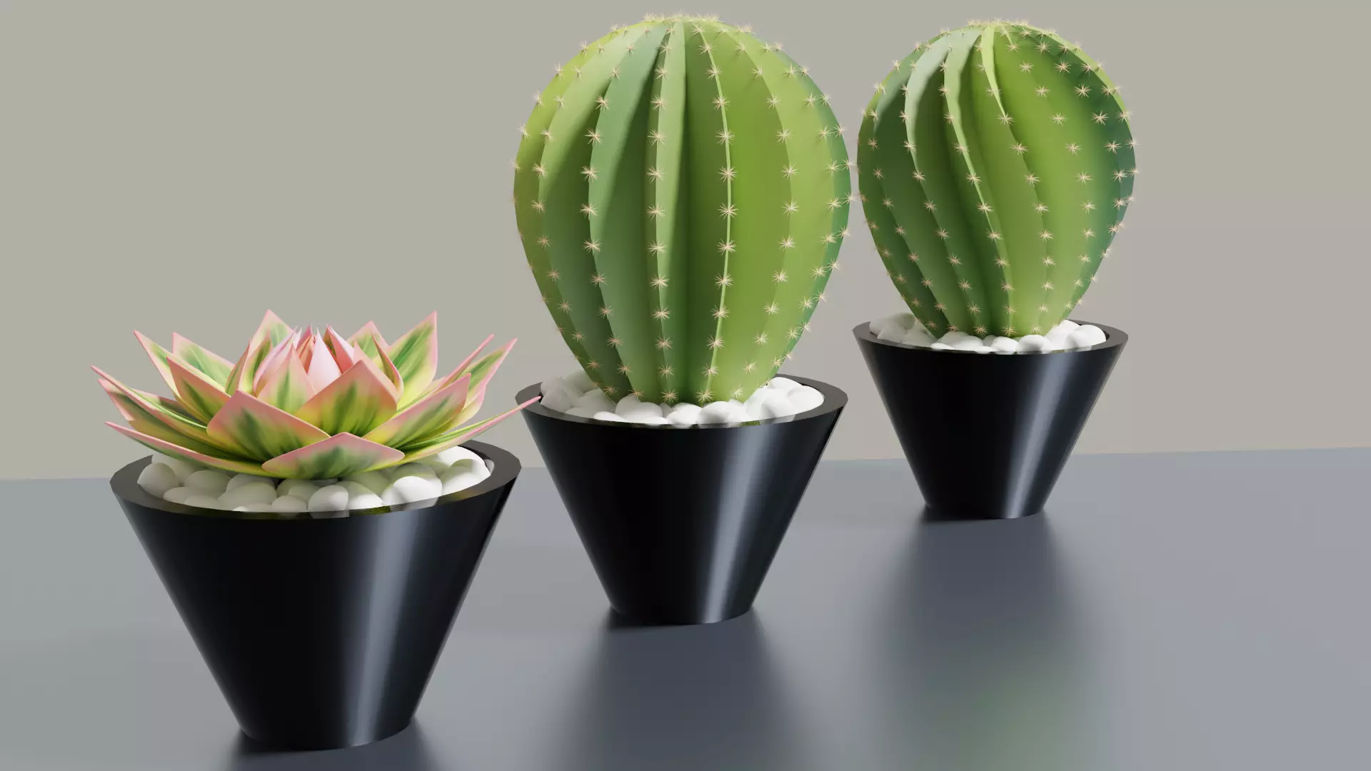 Succulent Potplants 3D model_0