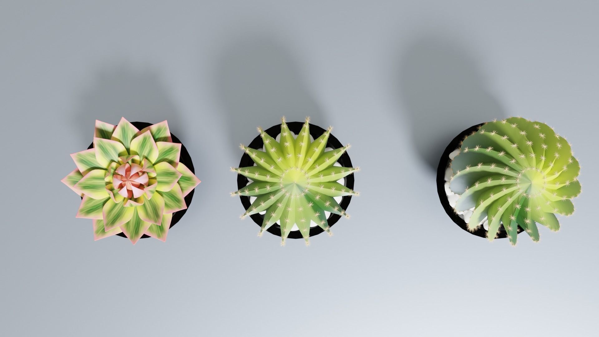 Succulent Potplants 3D model_2