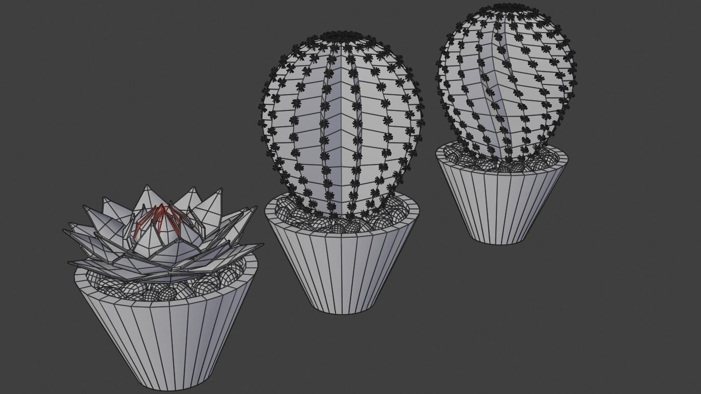 Succulent Potplants 3D model_3