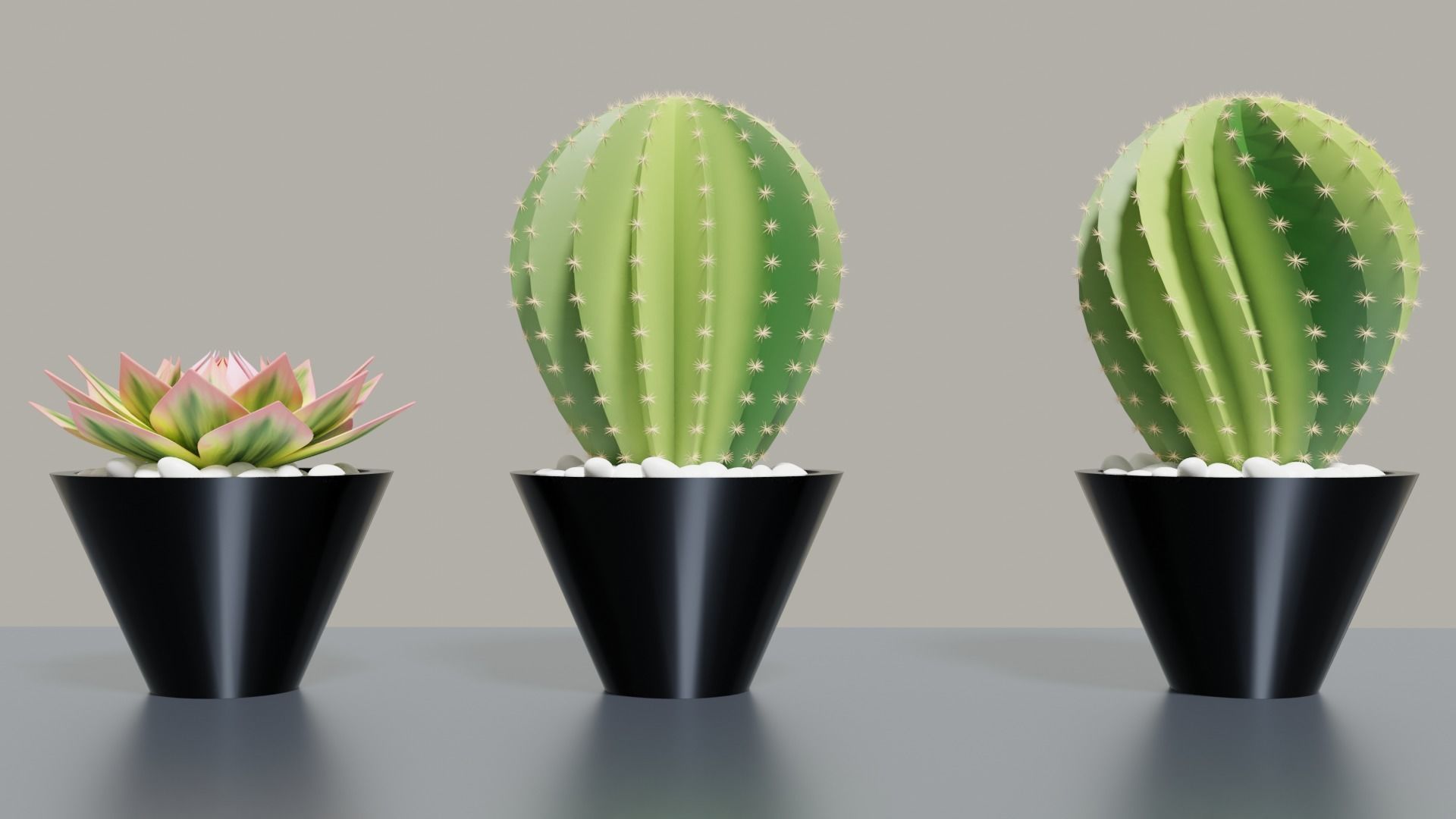 Succulent Potplants 3D model_1