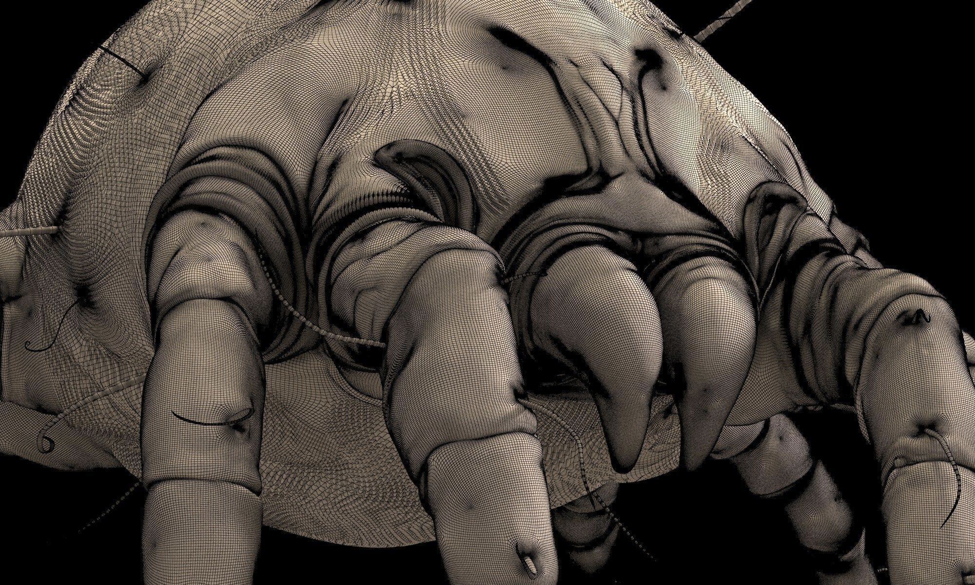 Dust Mite 3D model_10