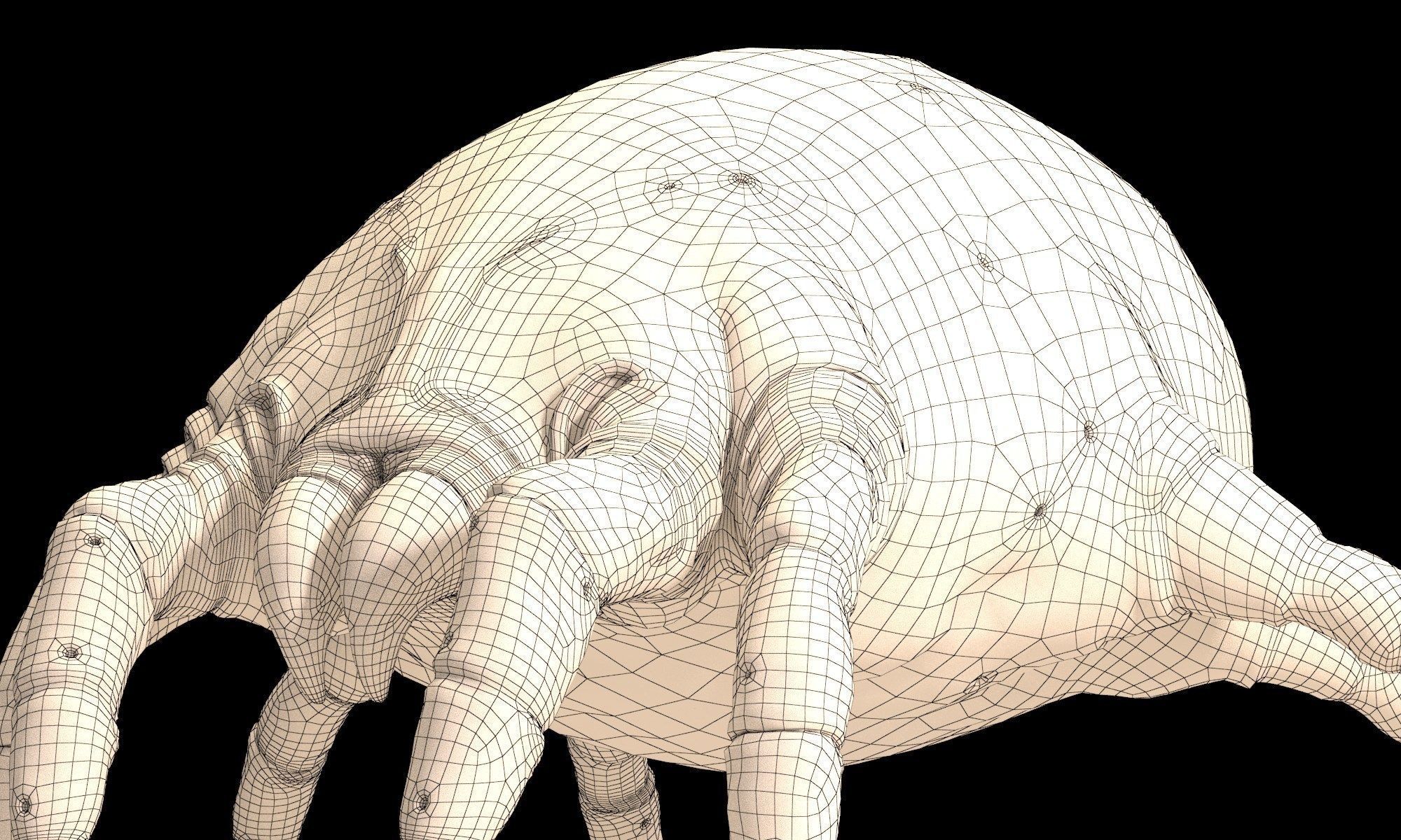 Dust Mite 3D model_6