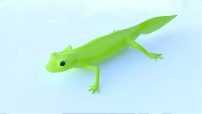 Lizard Triturus Alpestris lowpoly basemesh