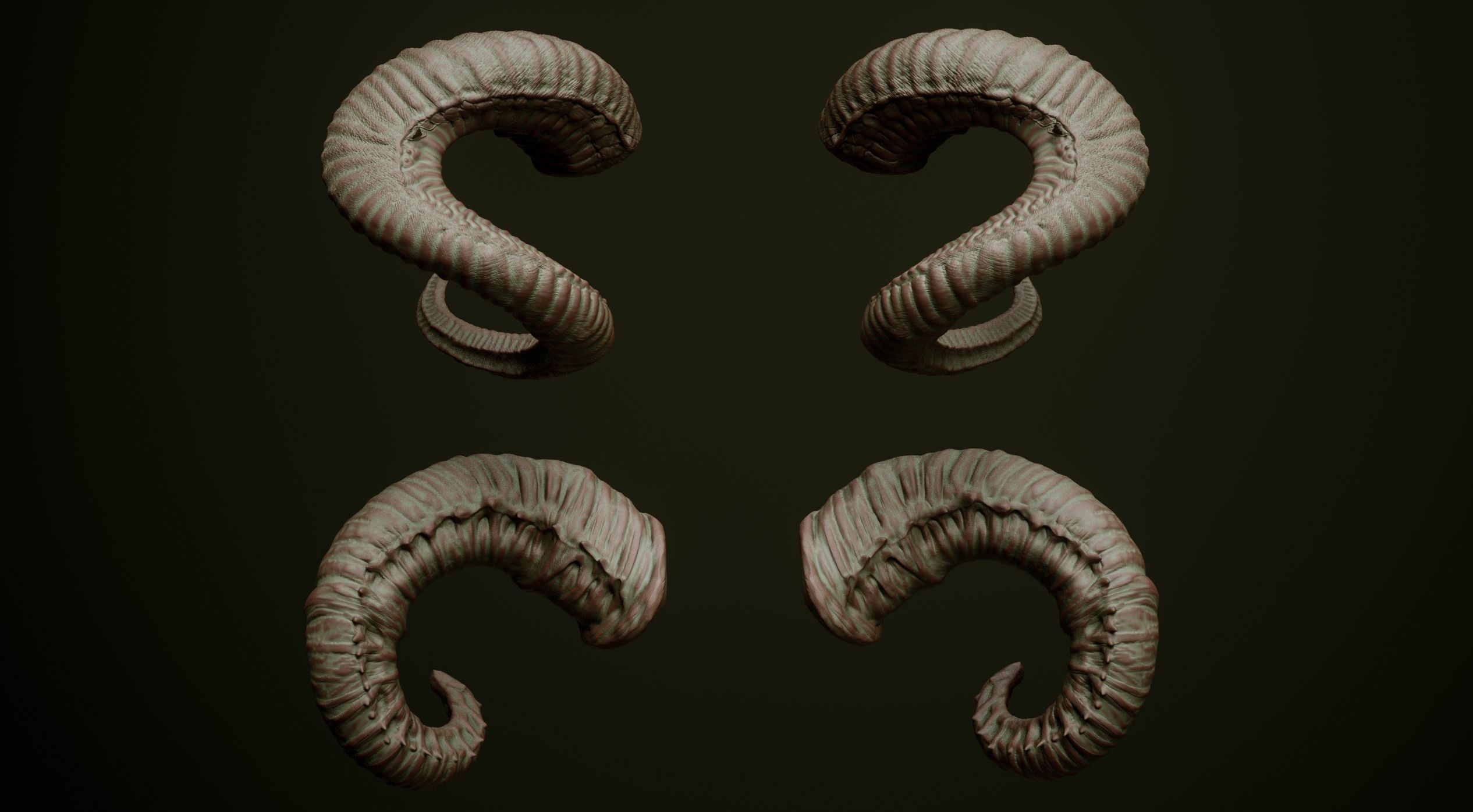 HORNS - 60 part IMM and VDM brush plus OBJs 3D model_13