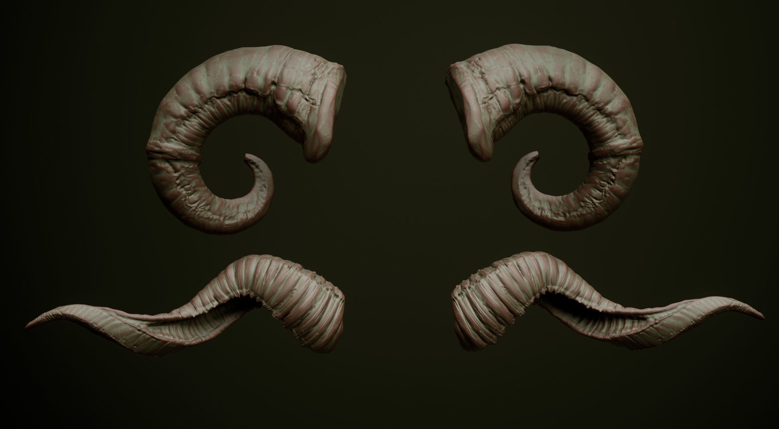 HORNS - 60 part IMM and VDM brush plus OBJs 3D model_12