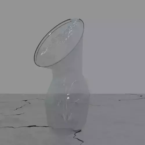 glass empty vase