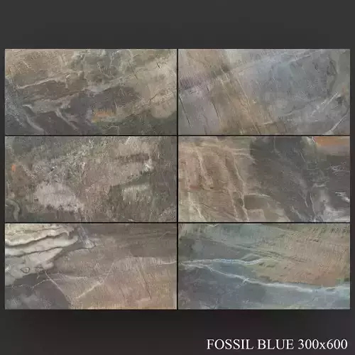 ABK Fossil Blue 300x600 3D model
