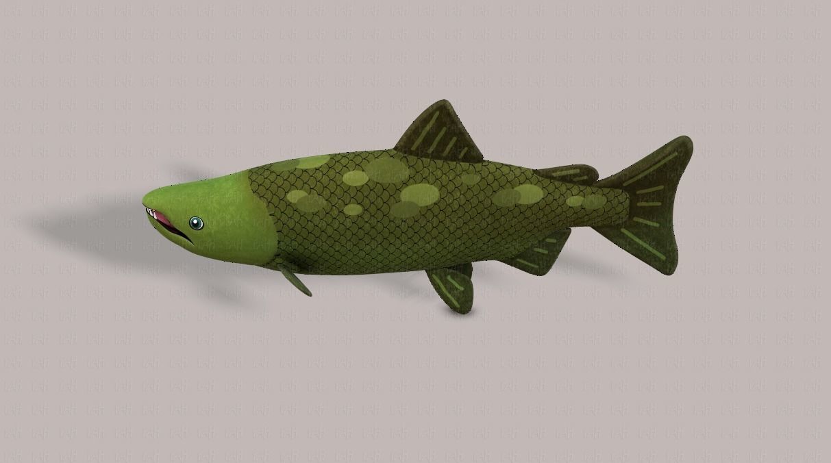 Fish V05 Low-poly 3D model_23