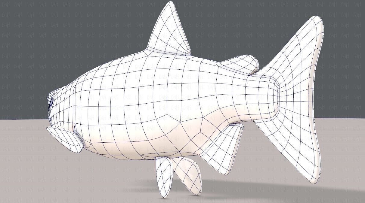 Fish V05 Low-poly 3D model_36