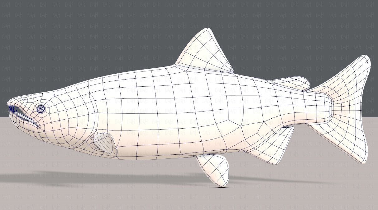Fish V05 Low-poly 3D model_15