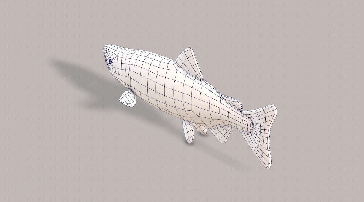 Fish V05 Low-poly 3D model_30