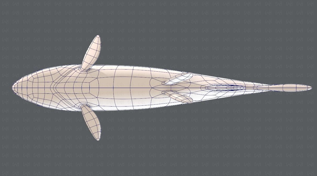 Fish V05 Low-poly 3D model_40