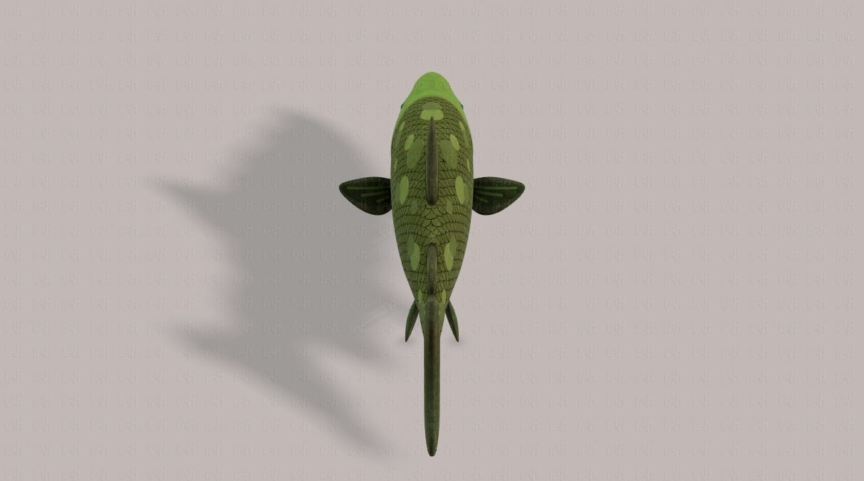 Fish V05 Low-poly 3D model_21