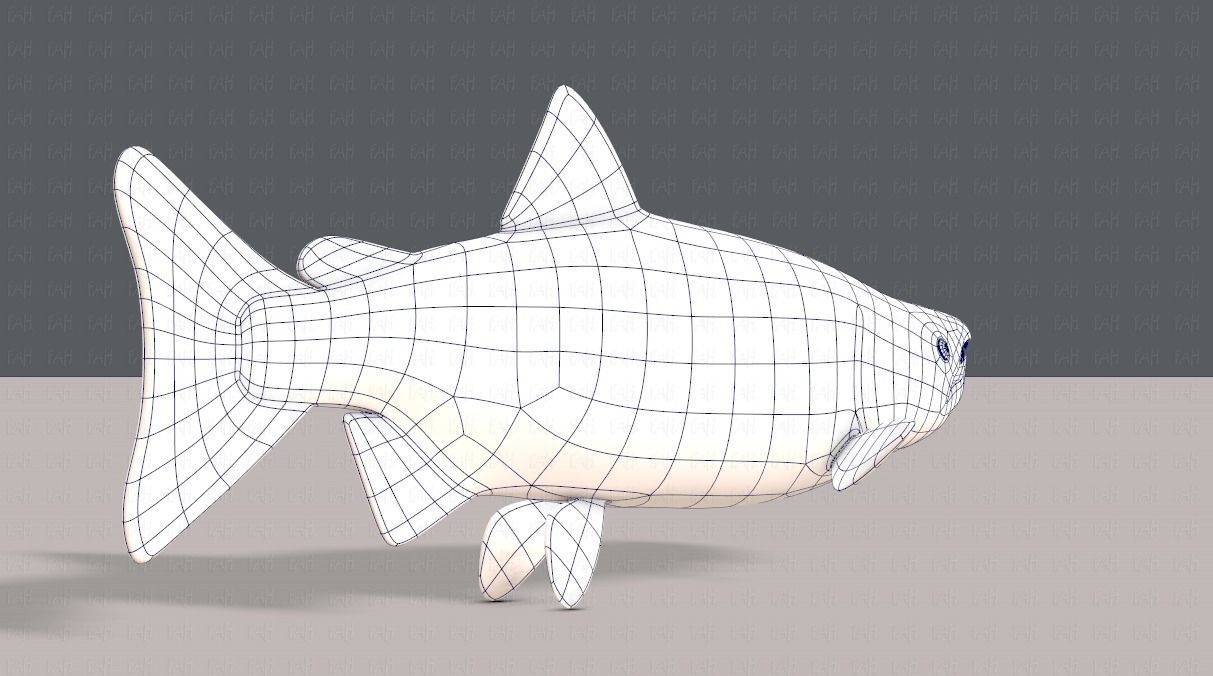 Fish V05 Low-poly 3D model_12