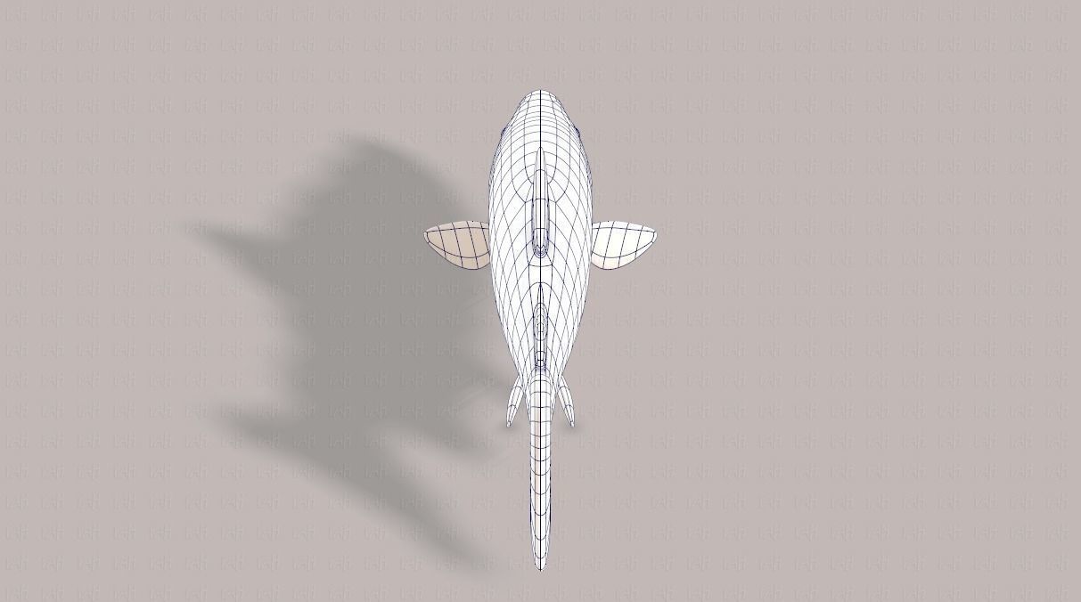 Fish V05 Low-poly 3D model_29