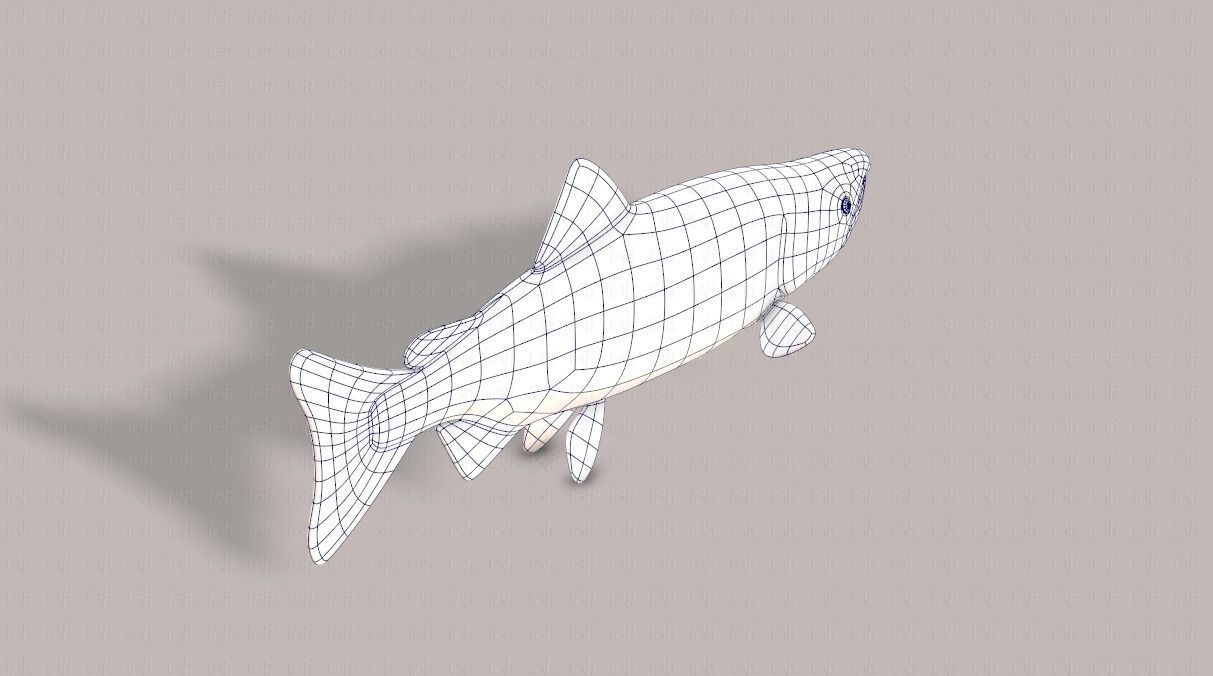 Fish V05 Low-poly 3D model_28