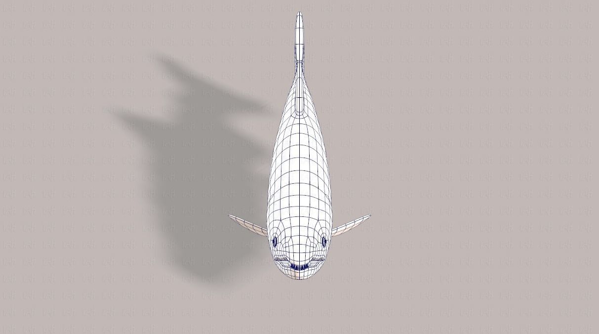 Fish V05 Low-poly 3D model_25