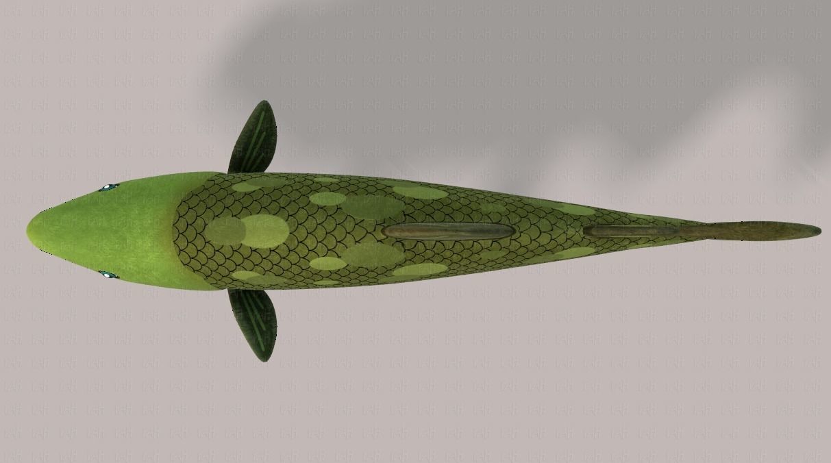 Fish V05 Low-poly 3D model_37