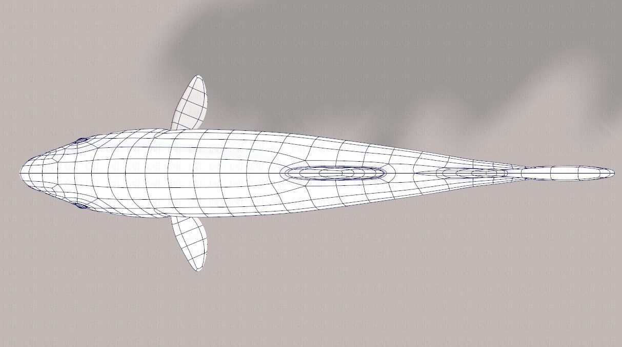 Fish V05 Low-poly 3D model_38