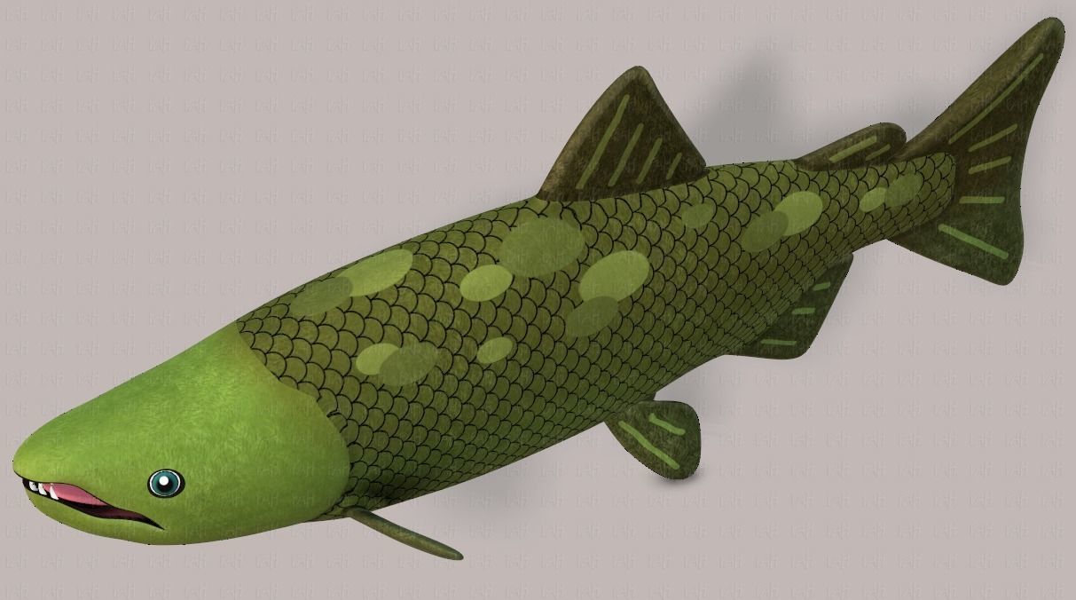 Fish V05 Low-poly 3D model_41