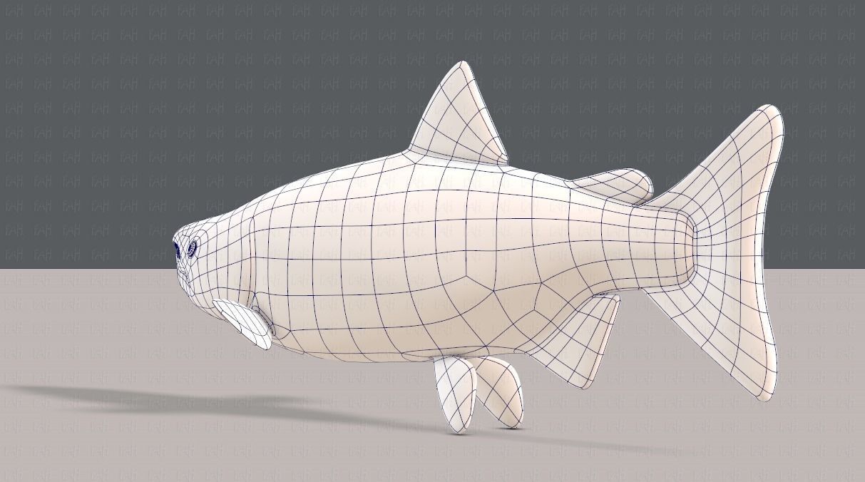 Fish V05 Low-poly 3D model_14