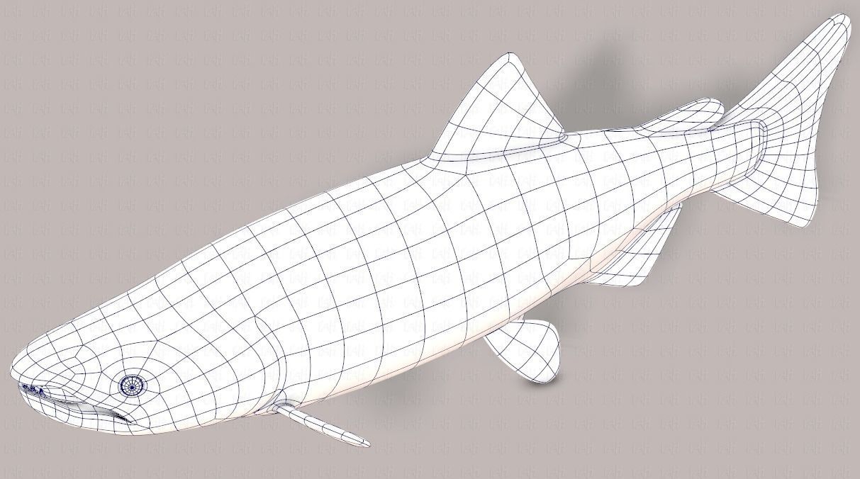 Fish V05 Low-poly 3D model_42