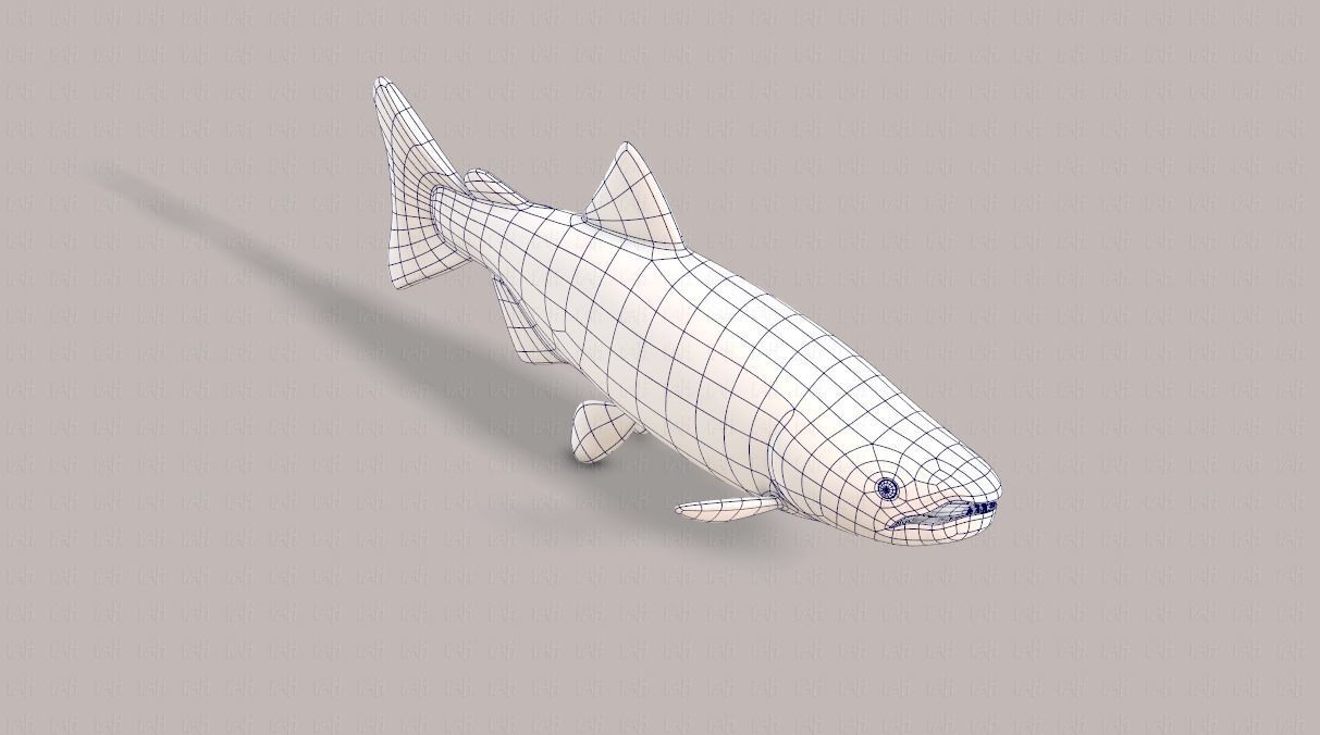 Fish V05 Low-poly 3D model_26