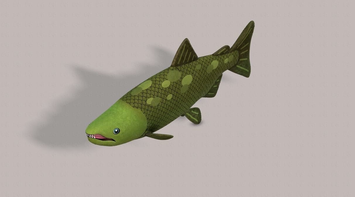 Fish V05 Low-poly 3D model_24