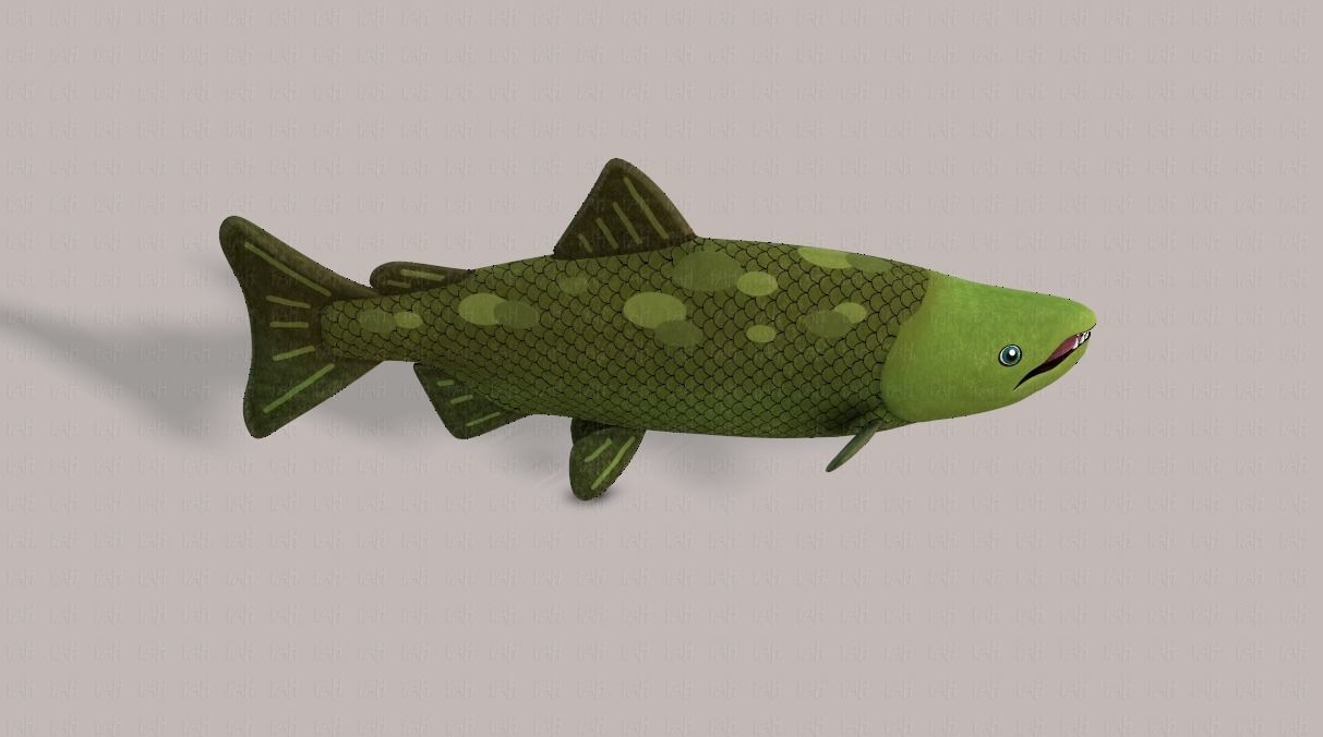Fish V05 Low-poly 3D model_19