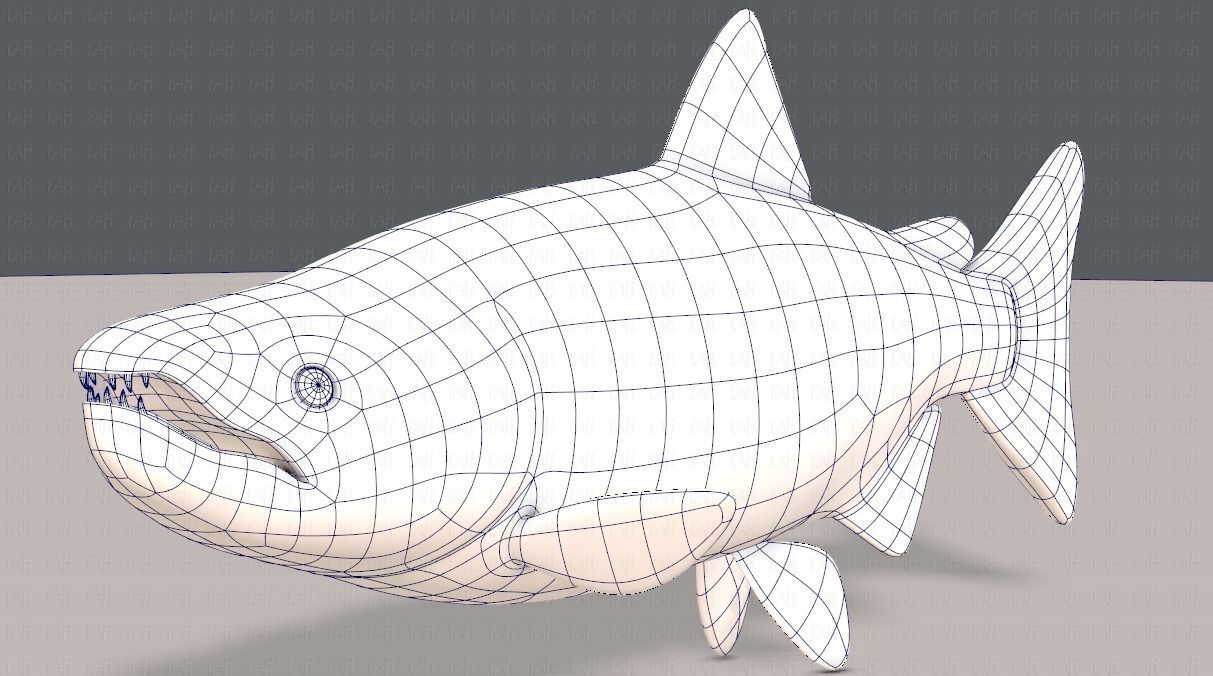 Fish V05 Low-poly 3D model_34