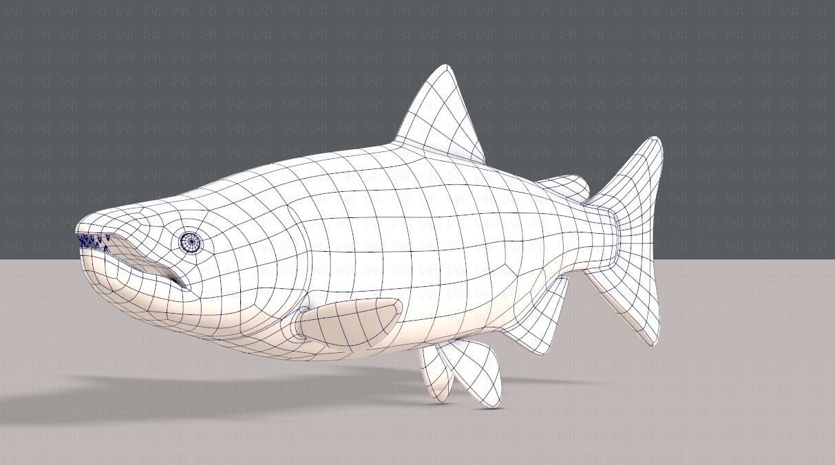 Fish V05 Low-poly 3D model_16