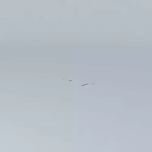 Air Canada 1981 and Lufthansa 2951 Airplane Crash