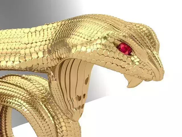snake ring
