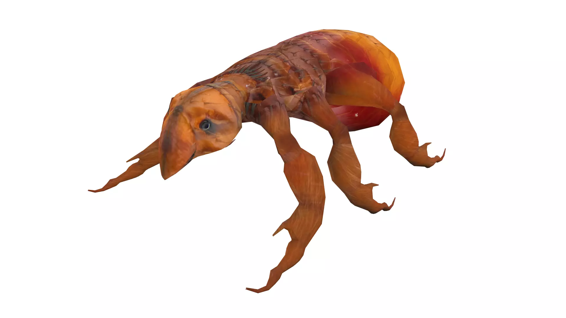 Fleas Insect Tick Louse 3D model Low-poly 3D model_0