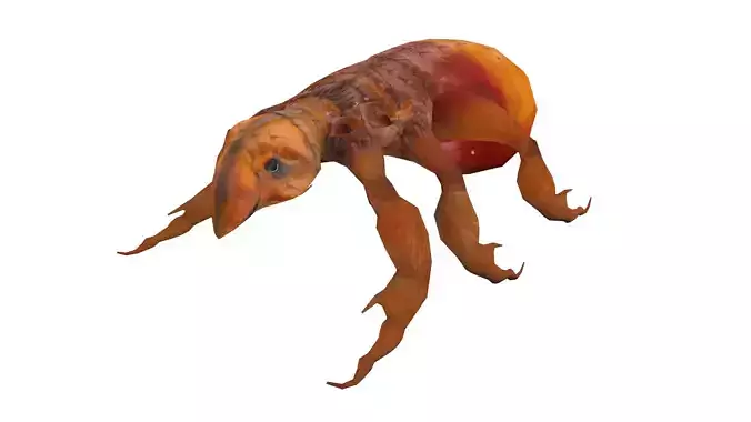 Fleas Insect Tick Louse 3D model Low-poly 3D model