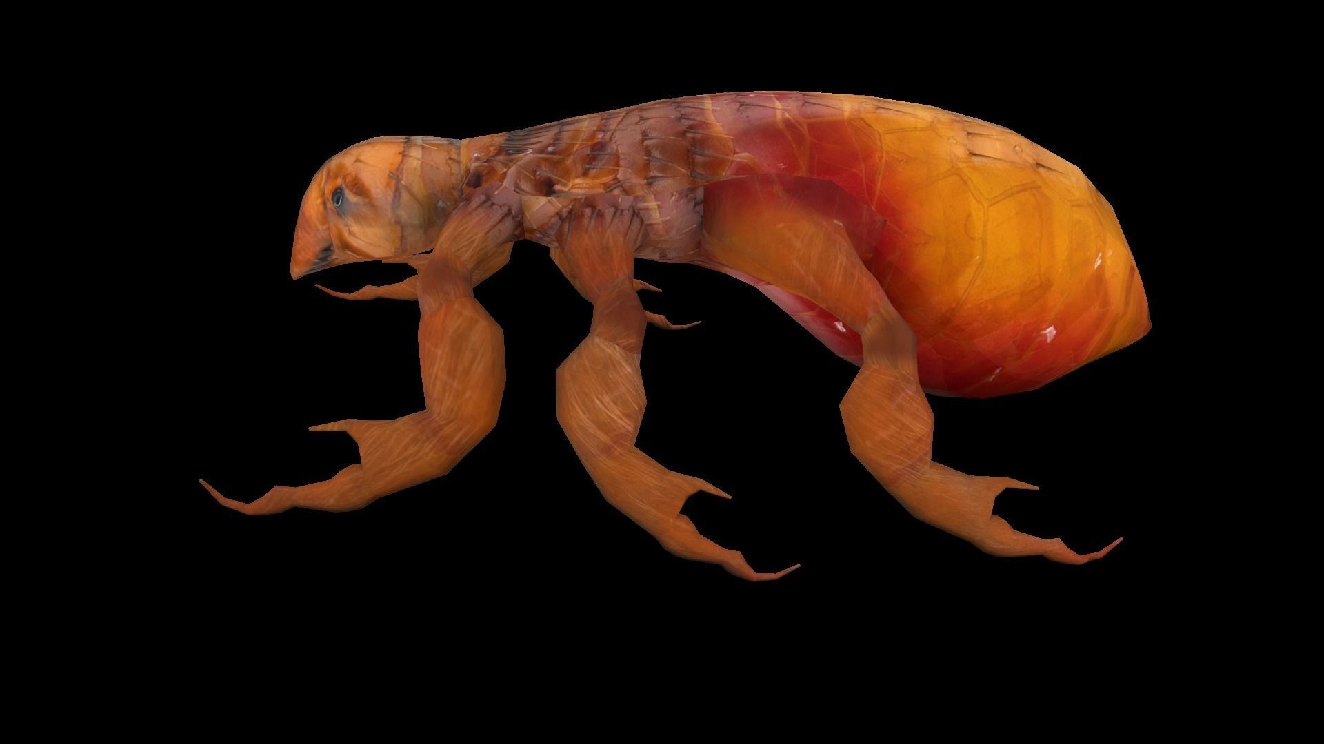 Fleas Insect Tick Louse 3D model Low-poly 3D model_1