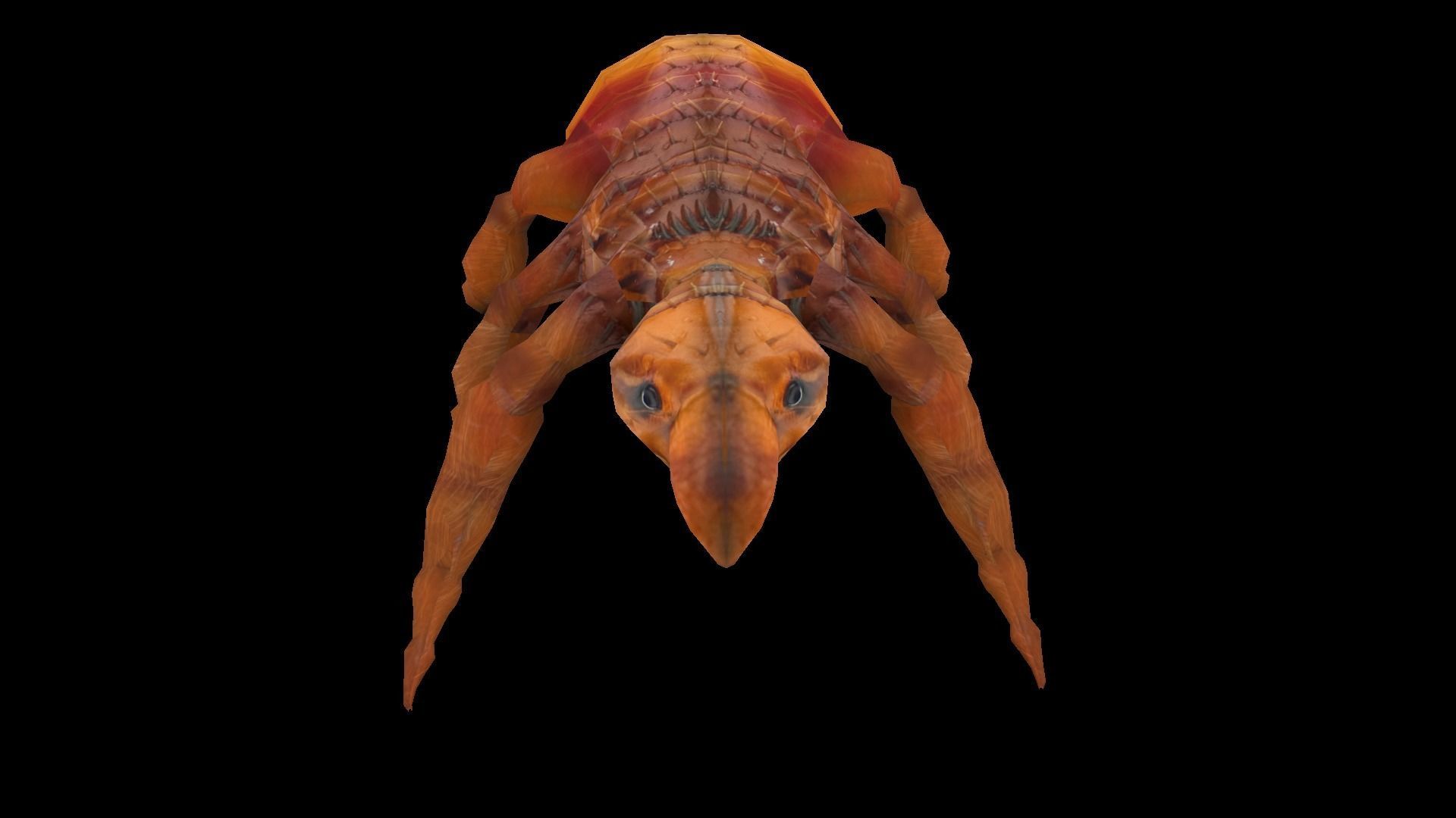 Fleas Insect Tick Louse 3D model Low-poly 3D model_4