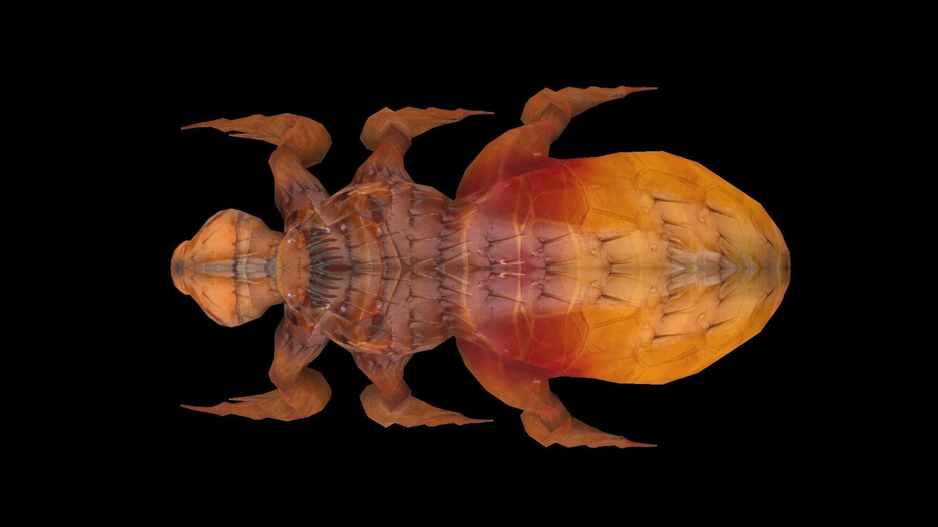 Fleas Insect Tick Louse 3D model Low-poly 3D model_3