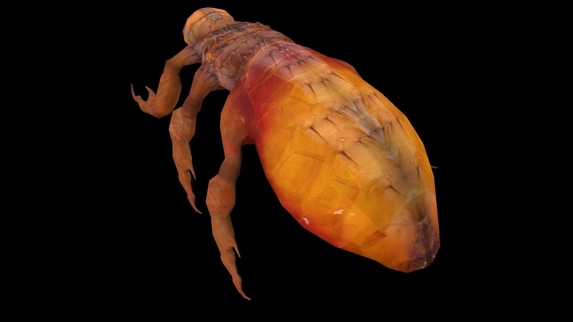 Fleas Insect Tick Louse 3D model Low-poly 3D model_2