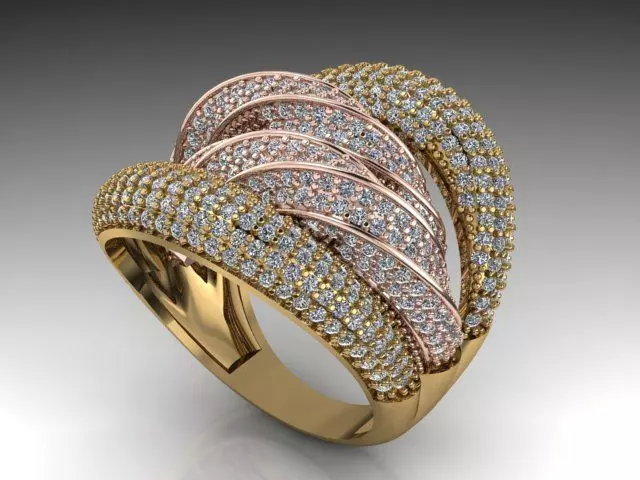 Fancy Ring Gold Silver 3D printing model 3D print model_0